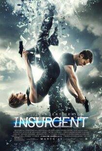 The Divergent Series